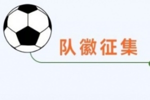 半岛体育-“川超”成都代表队队徽（Logo）征集令发布，最高奖10000元！